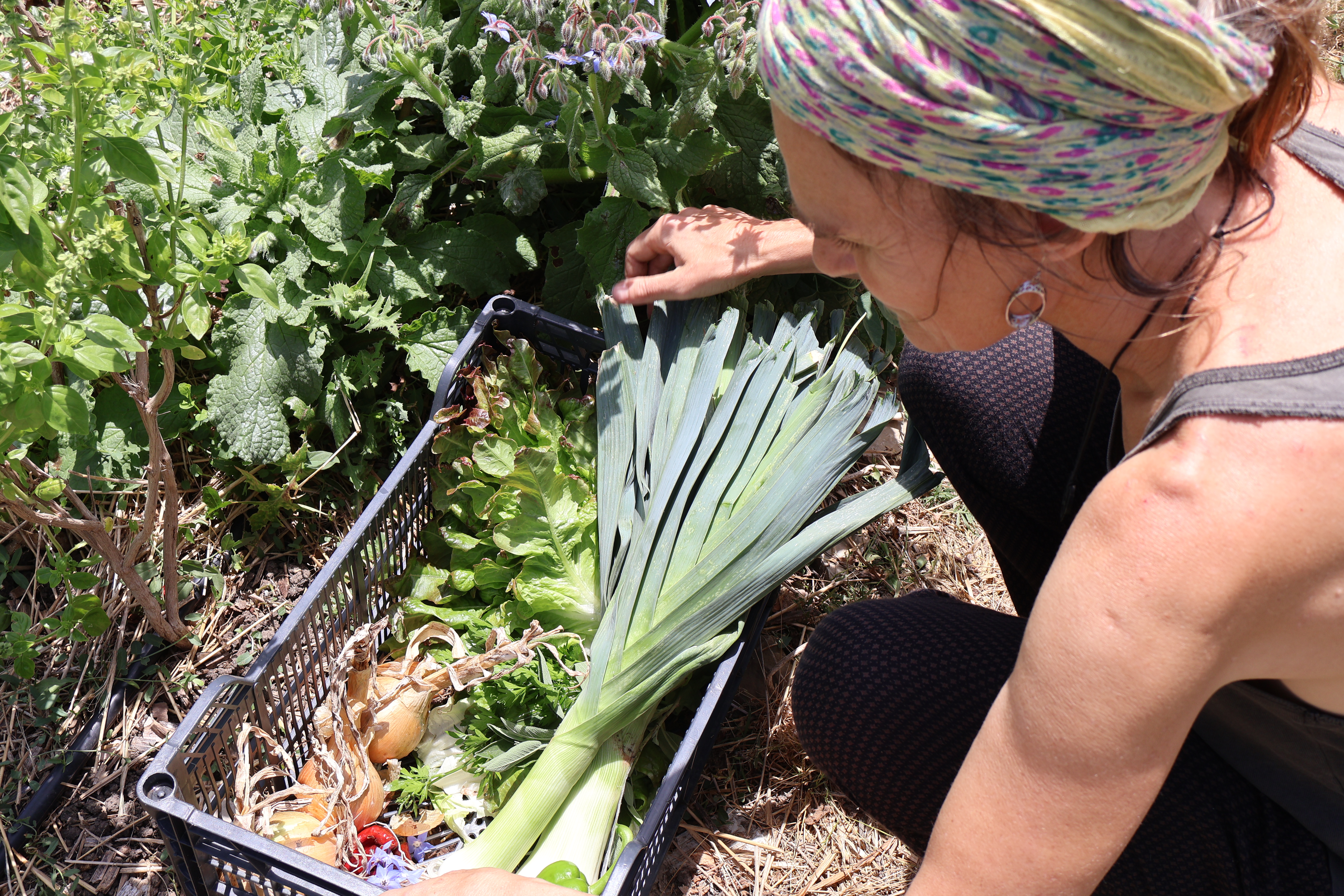 Molino de Guadalmesi garden
