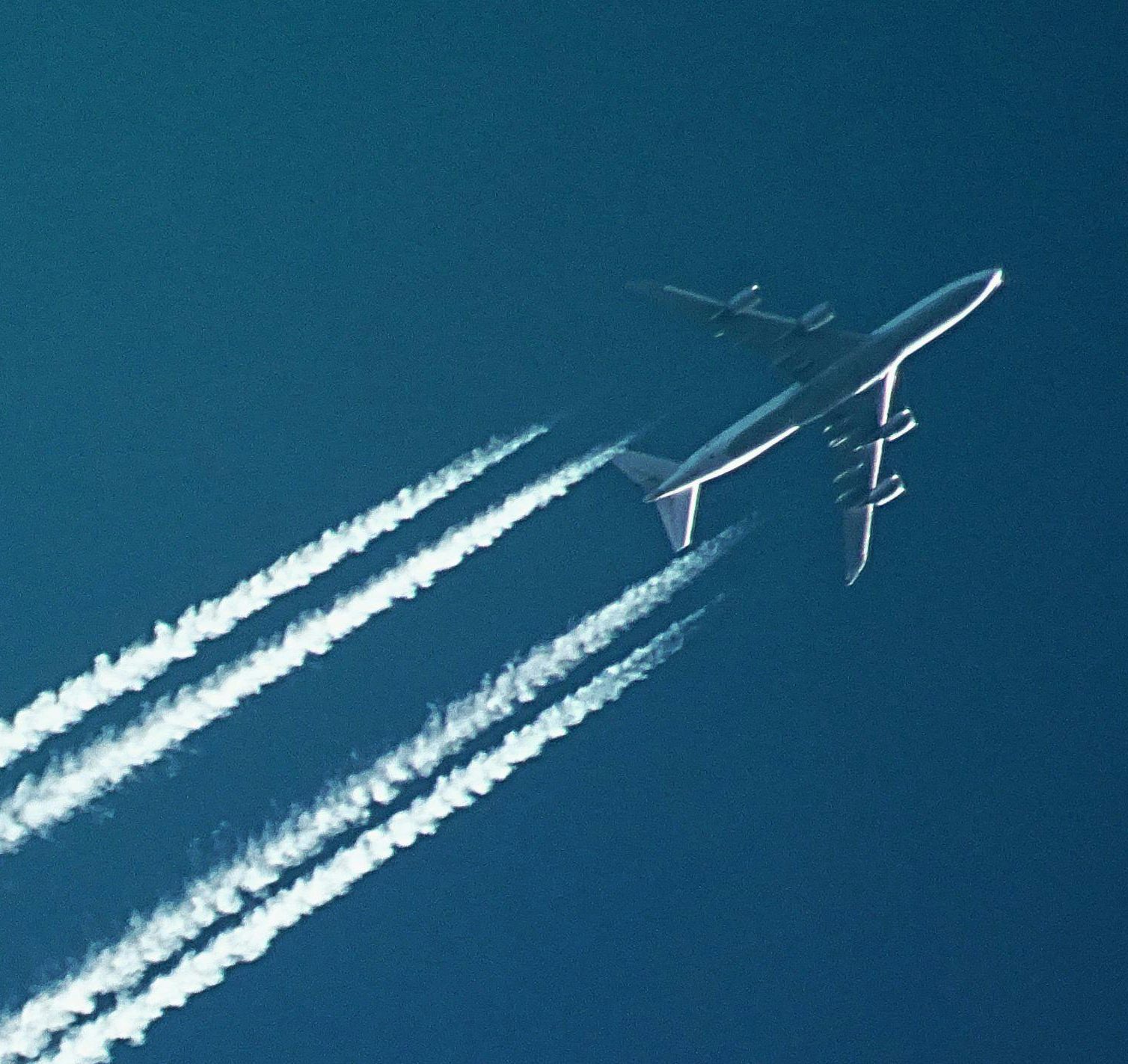 STERNA Contributor's avatar